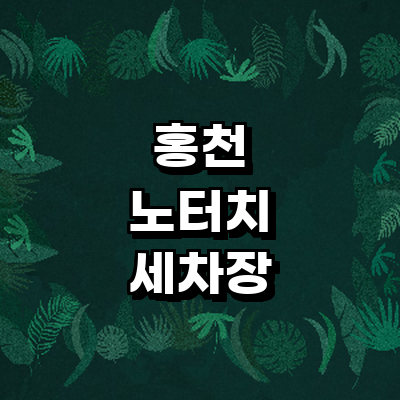 홍천군 노터치 세차