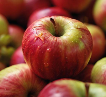 소화불량 위장 건강에 좋은 필수음식 TOP 6