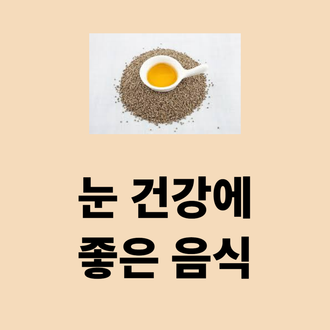 눈 건강에 좋은 음식, 눈 피로 눈 노화 예방 음식