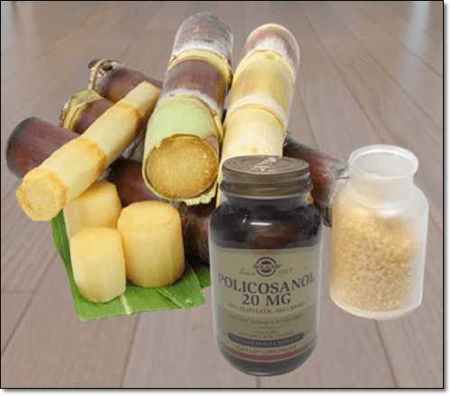 폴리코사놀 영양제