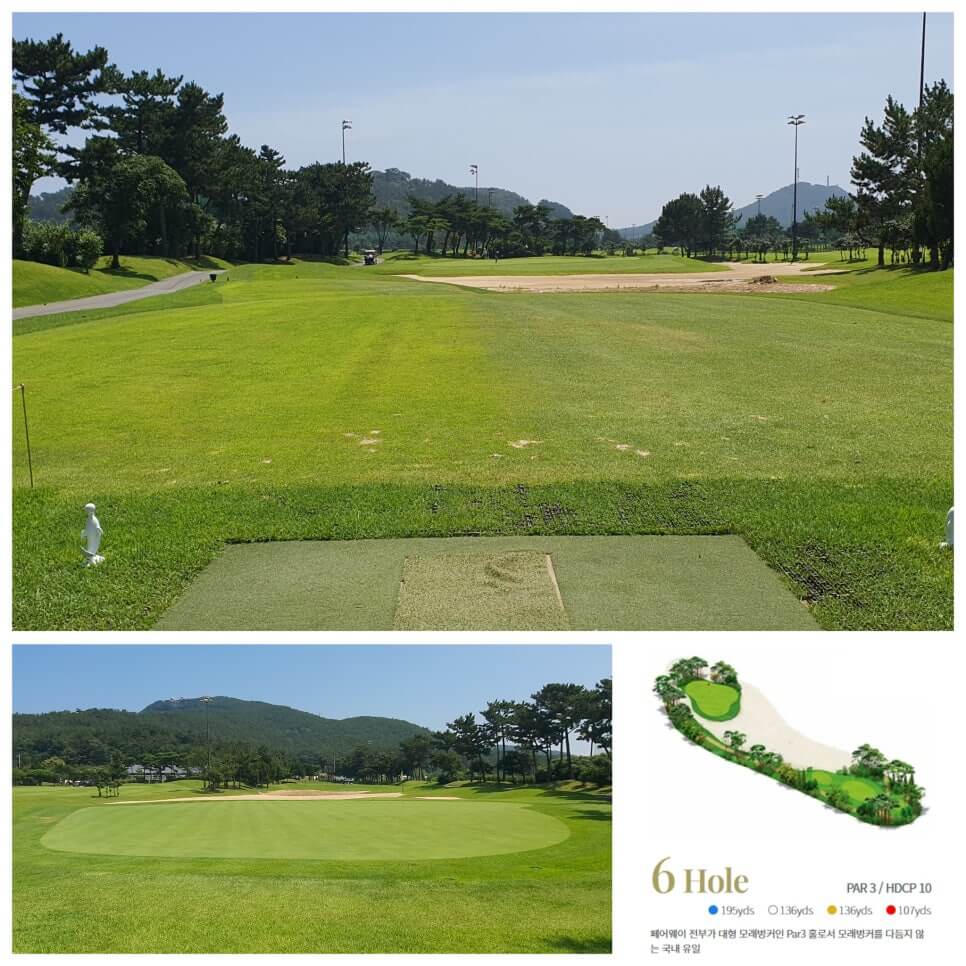 골프장 경험담 태안 스톤비치CC 완벽 가이드 서해 바다와 맞닿은 프리미엄 골프명소