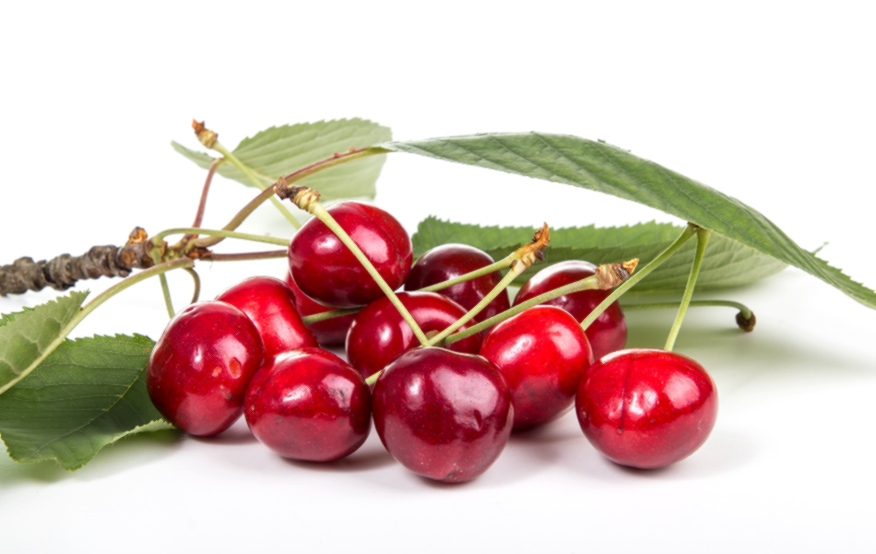 타트체리 부작용 효능