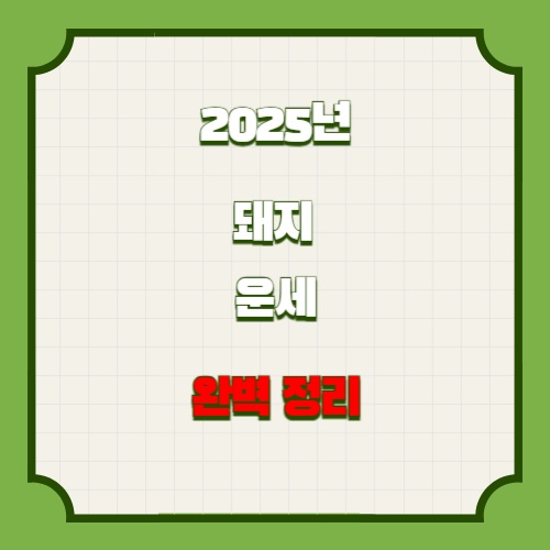 🐷 2025년 돼지띠 운세 🐷 완벽정리