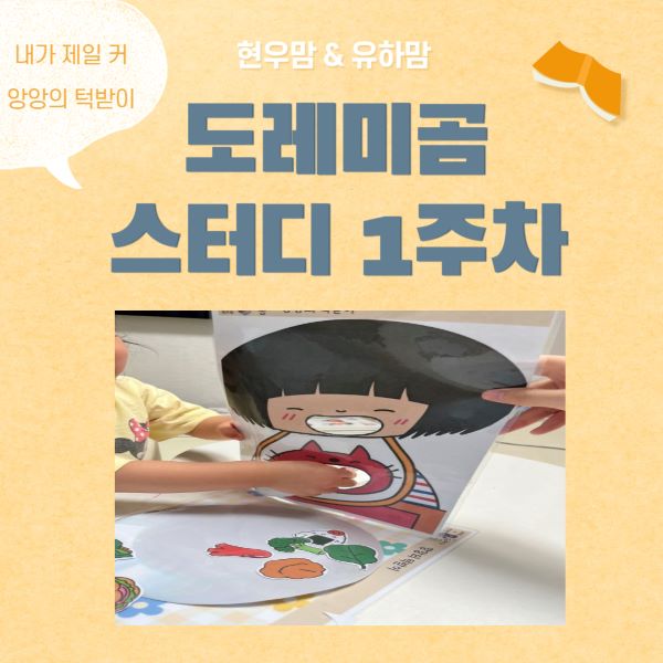 도레미곰 스터디