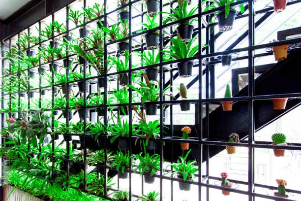 탄소중립 도시를 위한 도시 농업의 전략적 활용