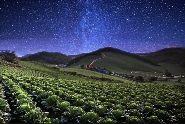 구름 위를 걷는 기분, 강릉 안반데기 여행 완벽 가이드