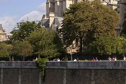 노트르담 드 파리 뮤지컬