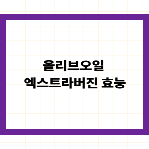 올리브오일 엑스트라버진 효능 —
의학적으로 검증된 5가지 역할과 선택의 기준