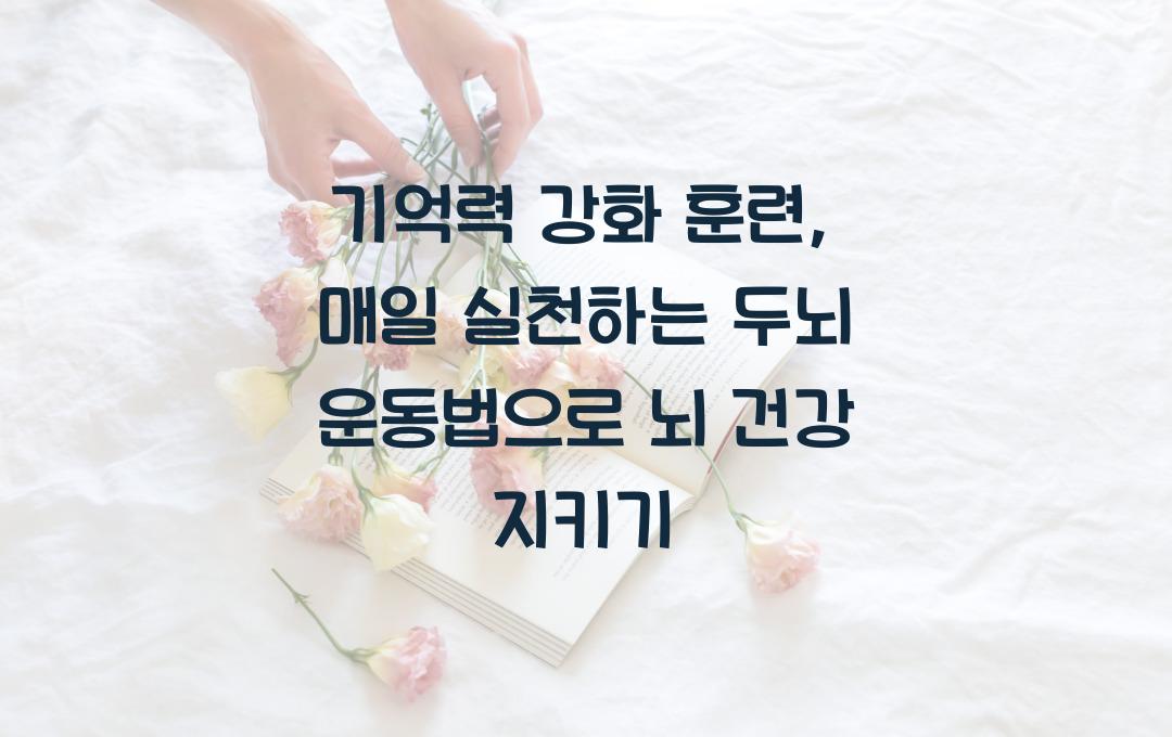 기억력 강화 훈련: 매일 실천하는 두뇌 운동법