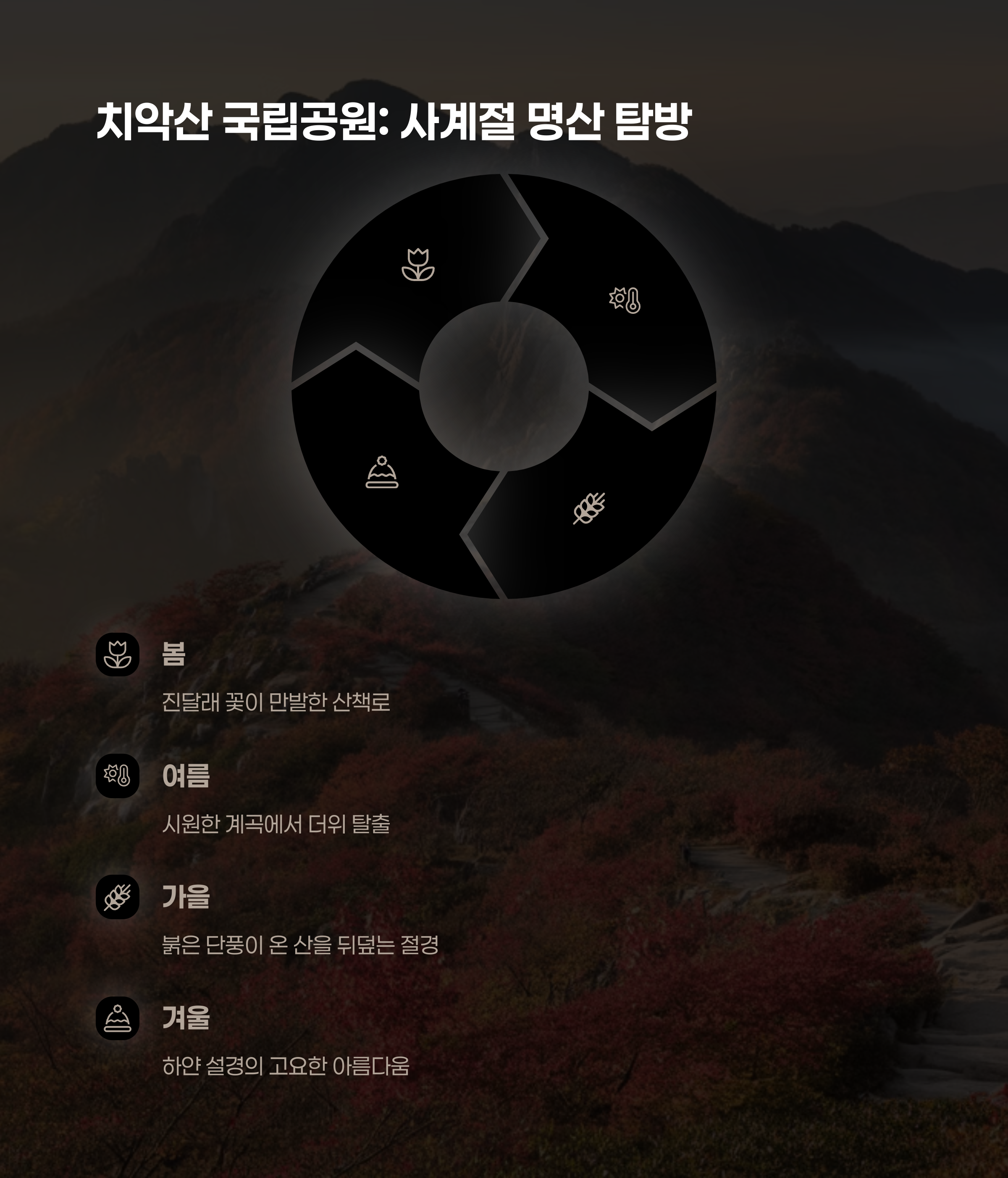 치악산 국립공원: 사계절 명산 탐방