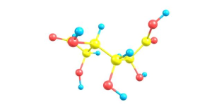 포스파티딜세린 효능