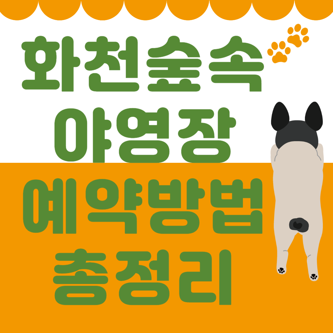 국립 화천숲속야영장 예약 방법 총정리