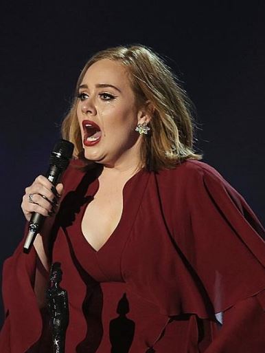 아델 은퇴 선언 프로필 나이 키