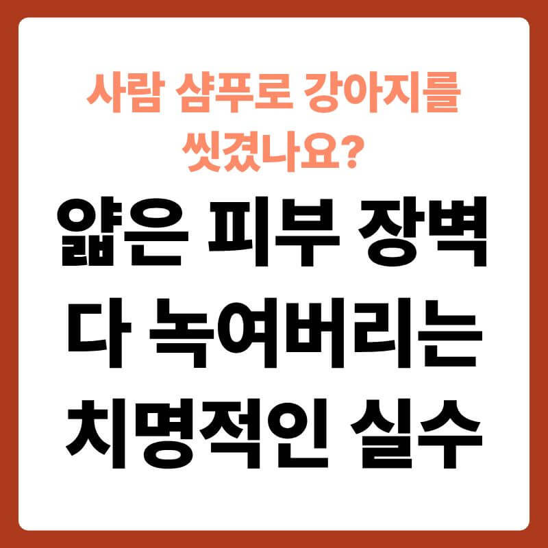 욕조 안에서 미지근한 물로 목욕을 하고 있는 귀여운 강아지의 모습
