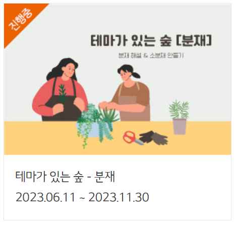 화담숲 여름 수국 축제