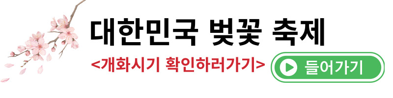벚꽃개화시기