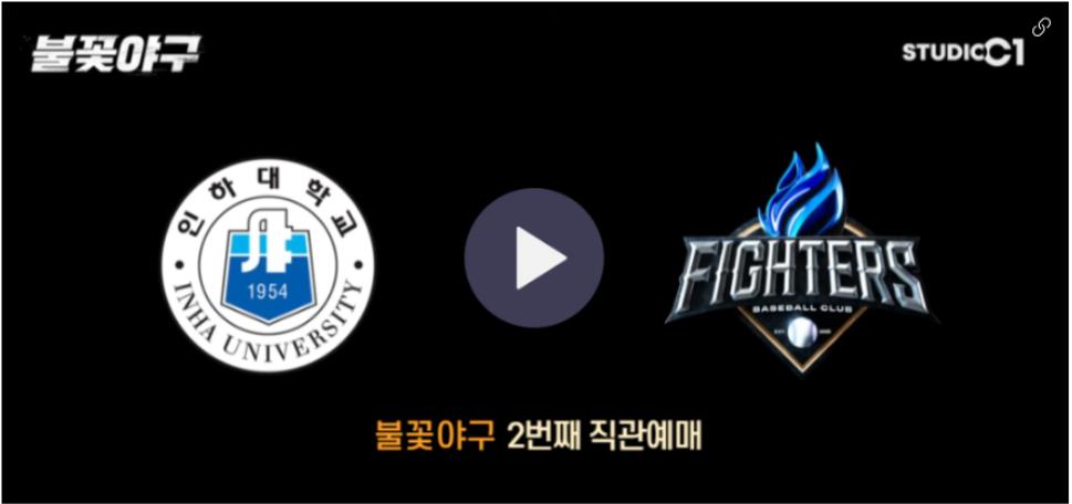 인하대학교 야구부