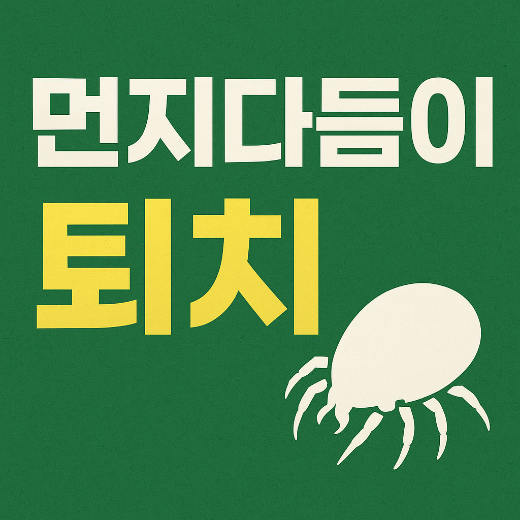 먼지다듬이 퇴치