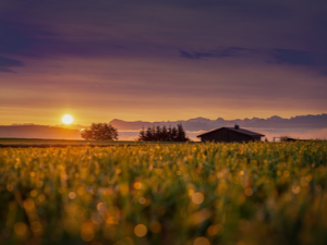 다리에 쥐가 자주 나는 이유