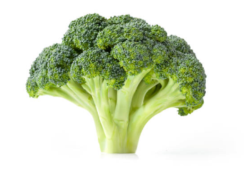 브로콜리