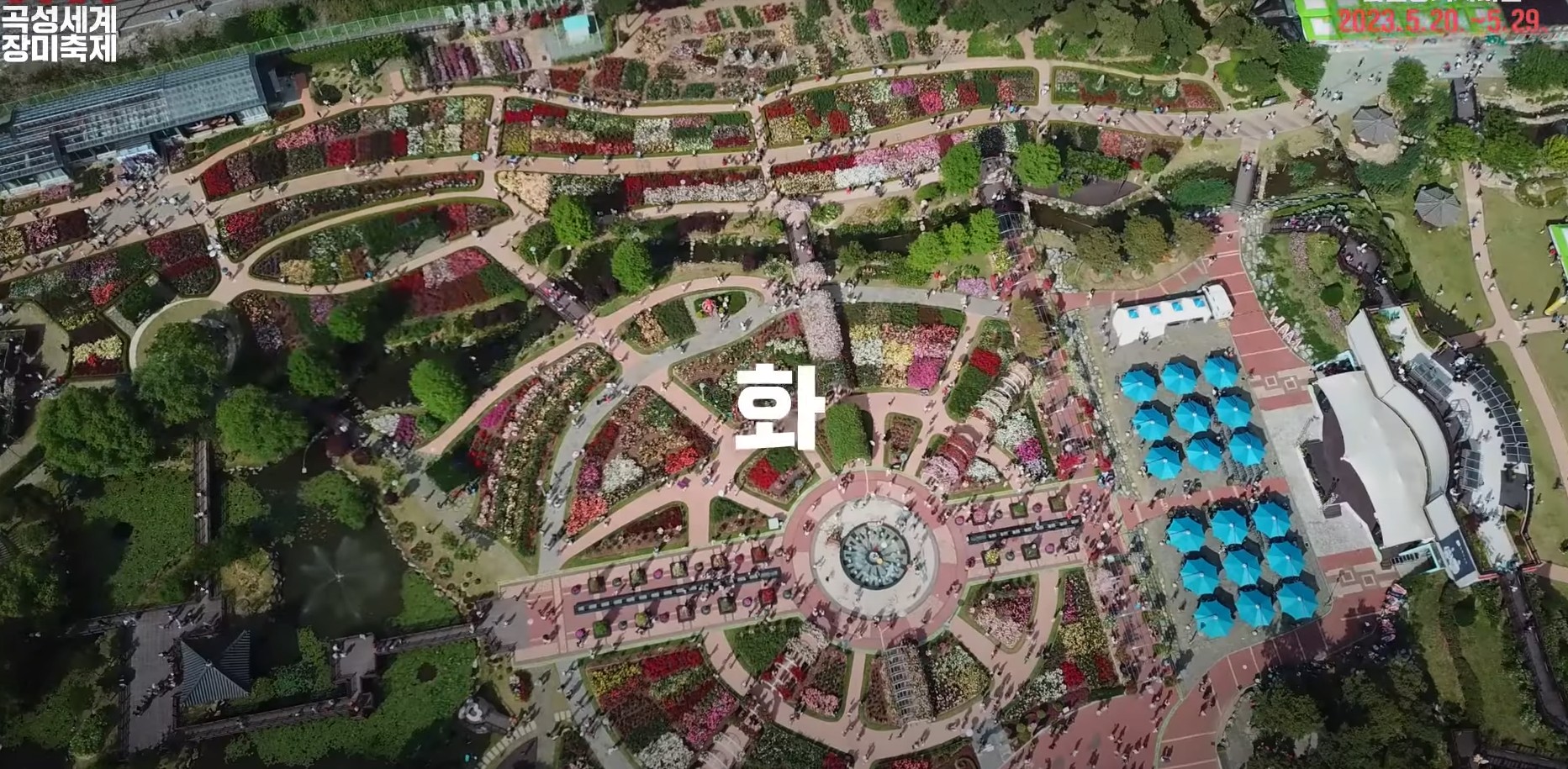 곡성장미축제-사진