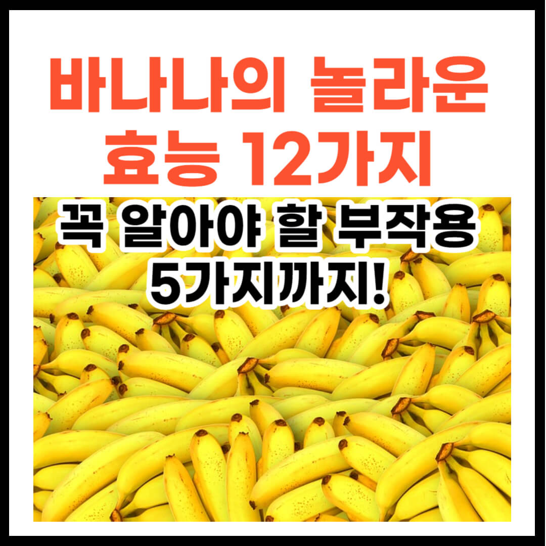 바나나 효능