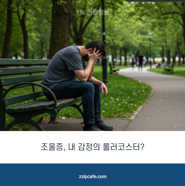 조울증, 내 감정의 롤러코스터? 초기 증상 자가진단 원인 치료 완치