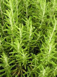 뼈에 좋은 음식