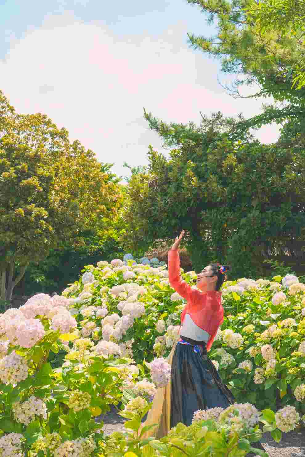 제주민속촌 수국축제