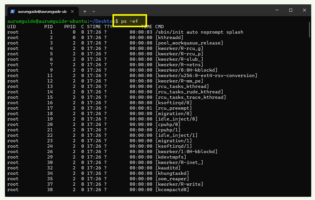 프로세스의 상세 정보 확인 명령어.