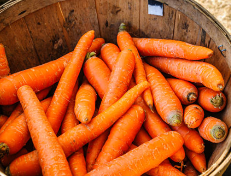 면역력 높이는 음식