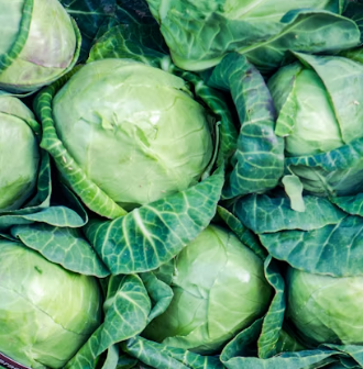 역류성식도염에 좋은 음식 영양제 식단