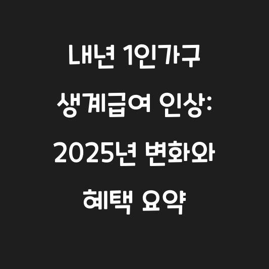 내년 1인가구 생계급여 인상: 2025년 변화와 혜택 요약 대표 이미지