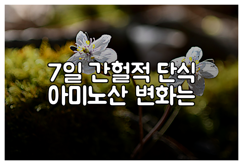 7일 간헐적 단식 아미노산 변화는