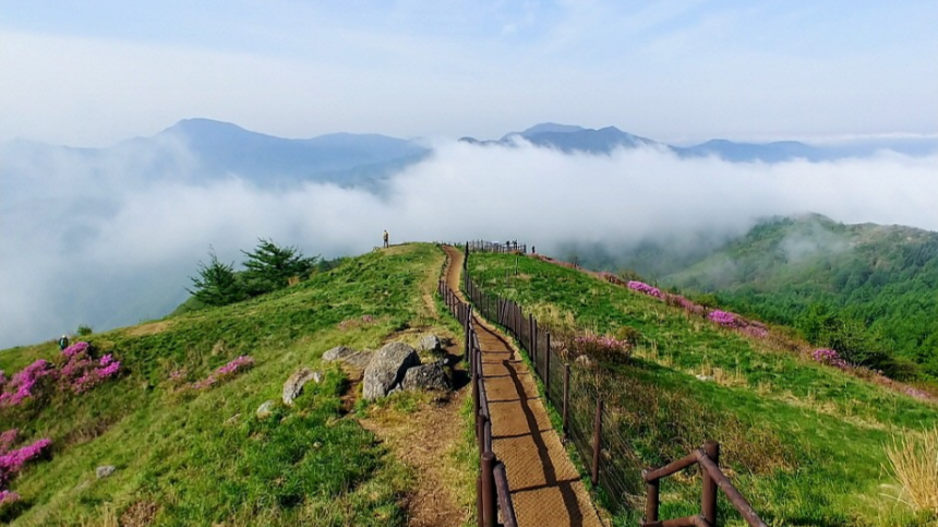 2025년 4월 국내 여행지 추천! 봄꽃과 함께 떠나는 최고의 여행지