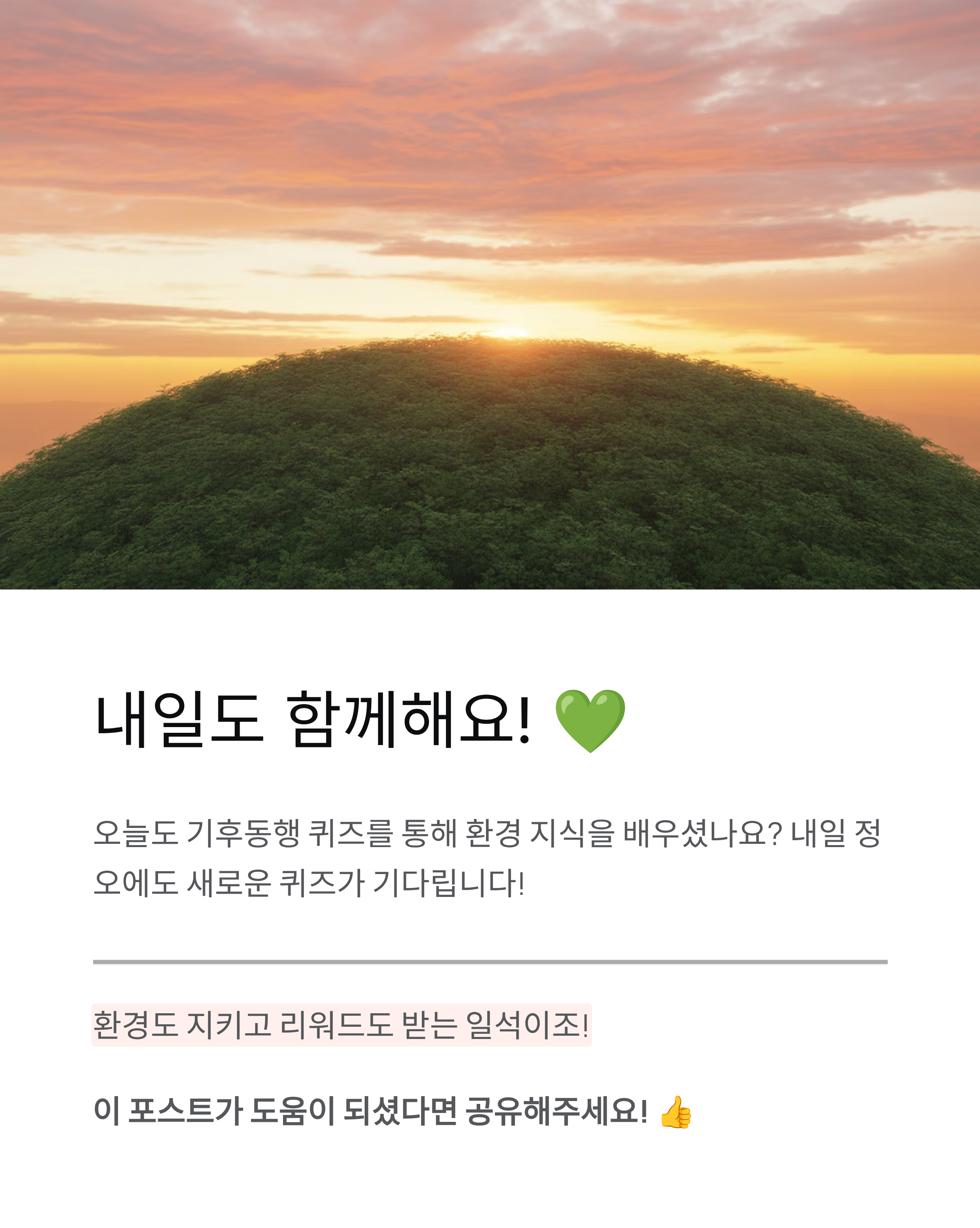 11월 15일 기후동행 퀴즈 정답 - 정답 확인하고 리워드 받으세요! 🌍