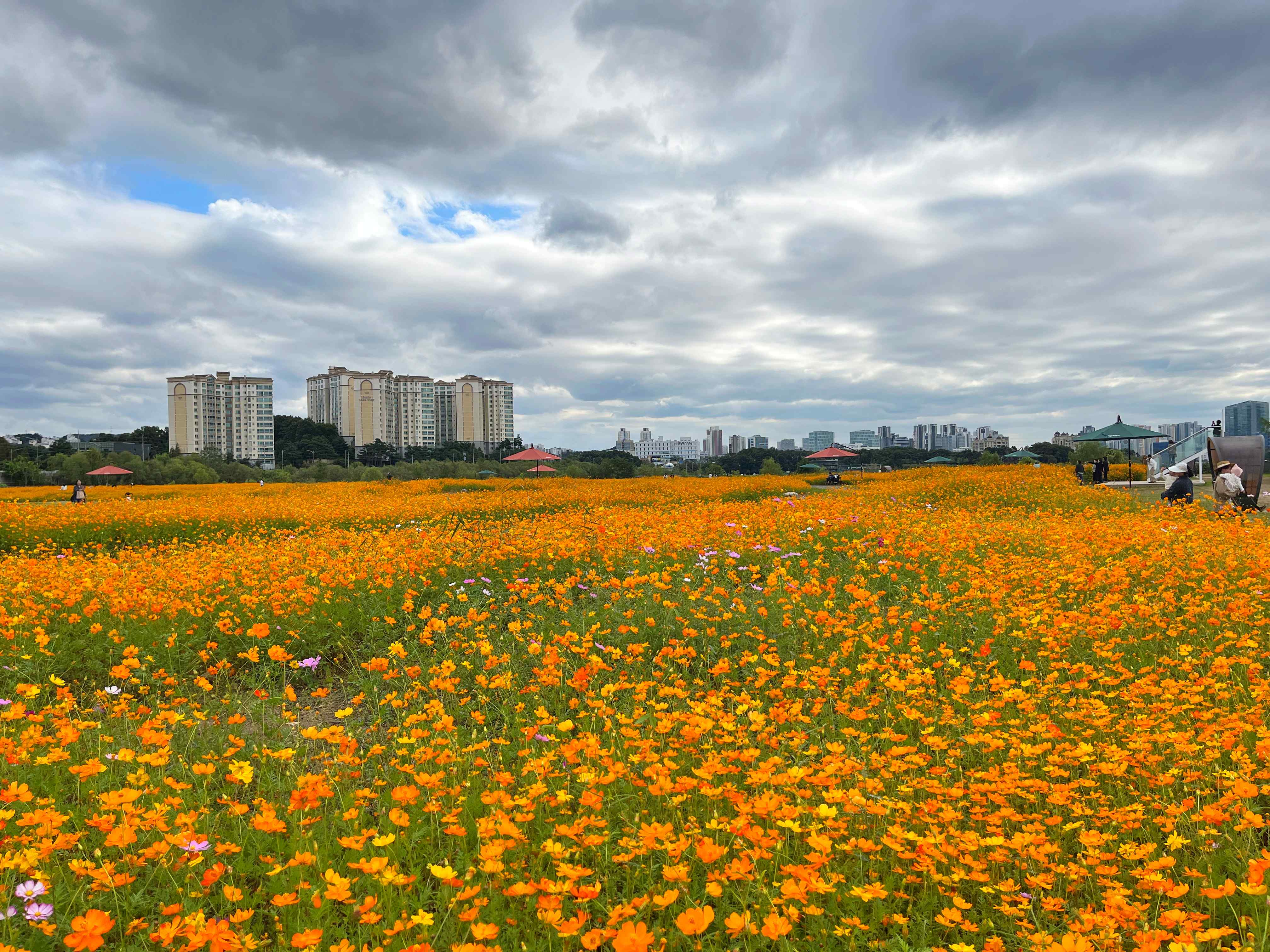 용인 기흥 호수공원