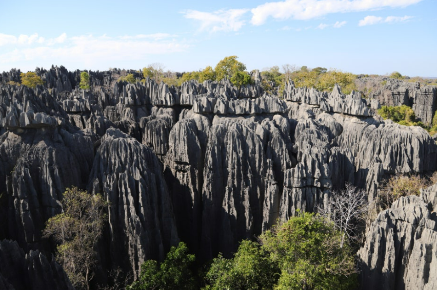 츠링기 데 벰하라 국립공원