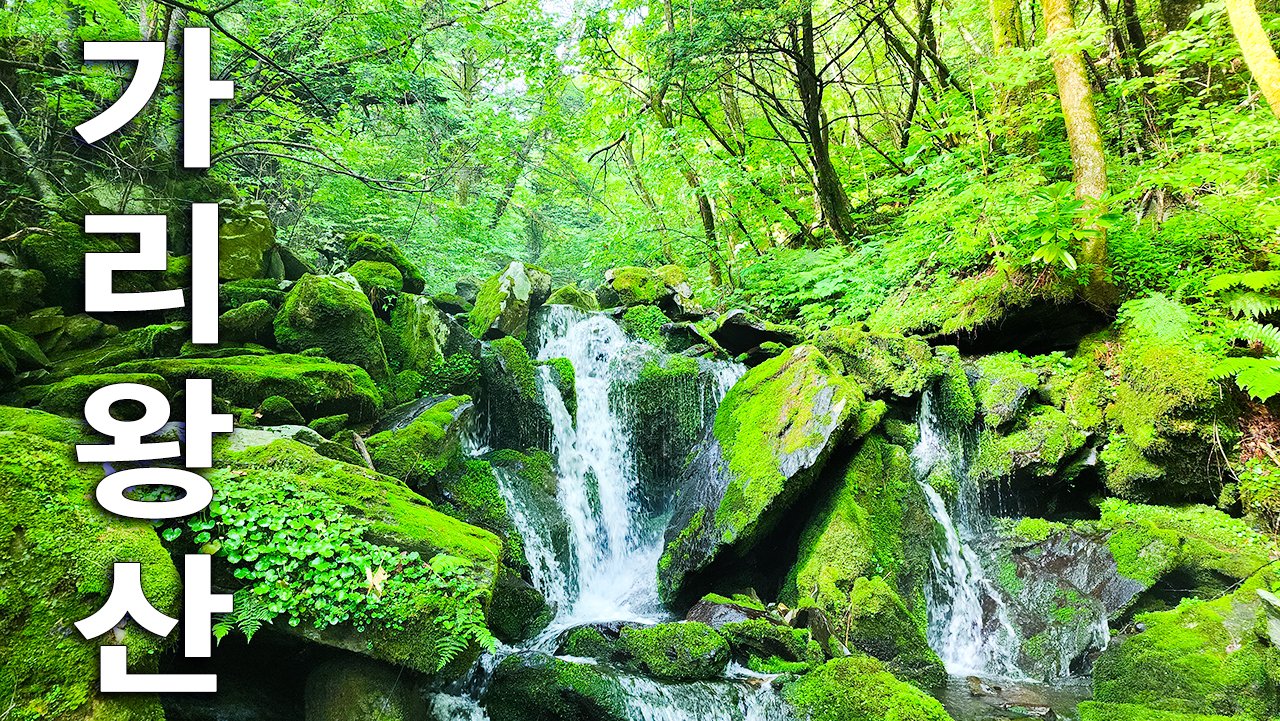 가리왕산 이끼계곡 이끼폭포
