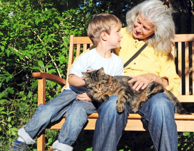 무릎 위에 누워 있는 고양이.