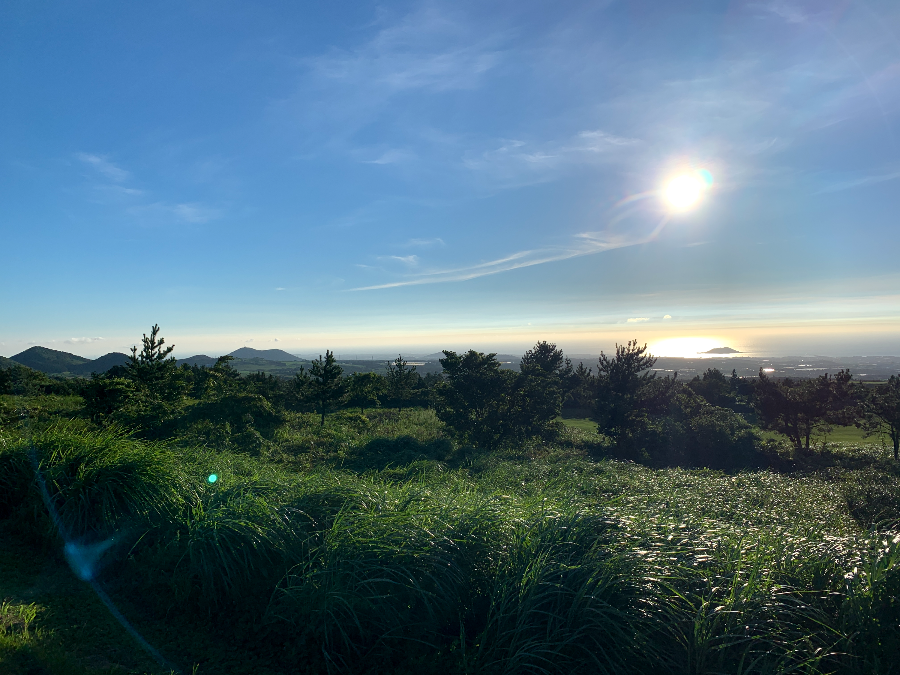 엘리시안 제주 CC 바다조망