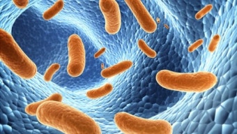 인체 속 40조의 박테리아