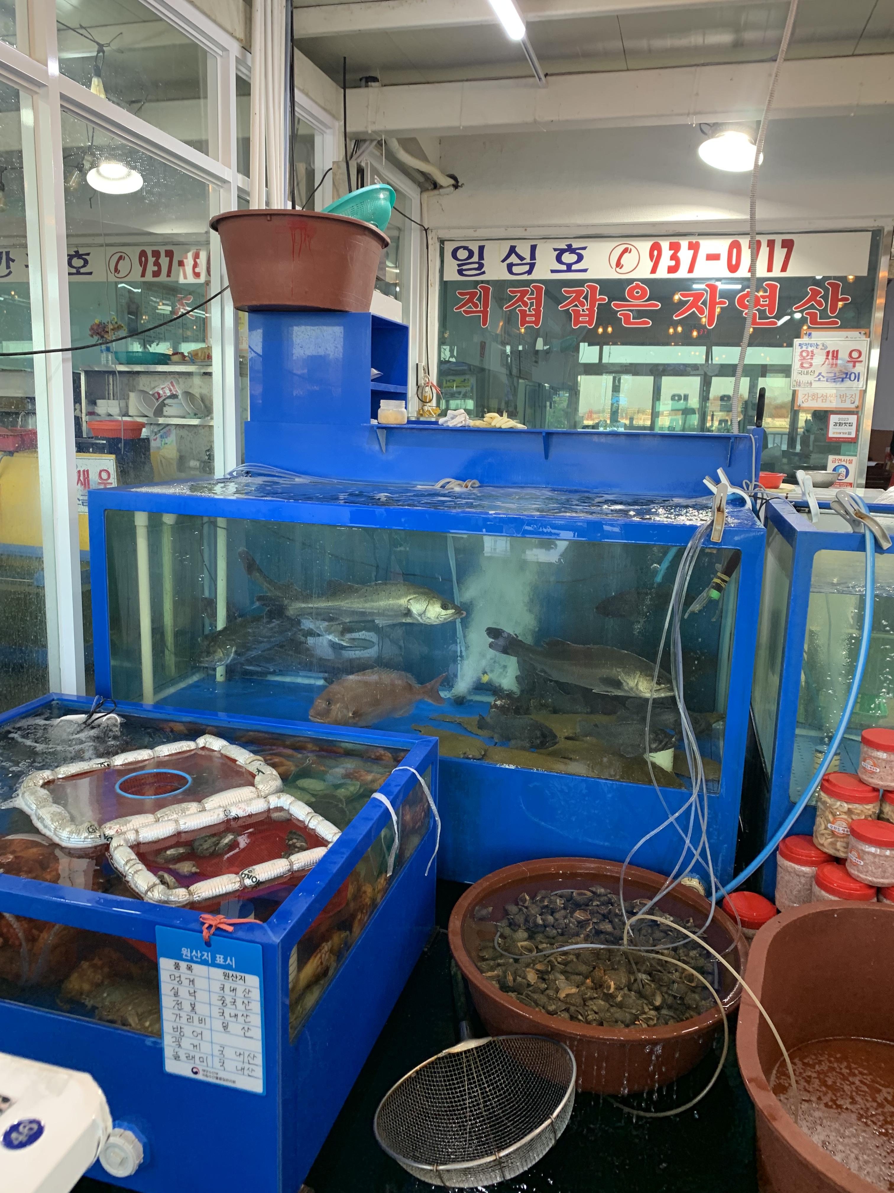 강화도 맛집