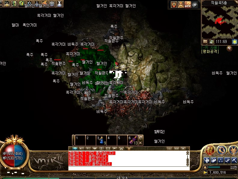 미르의전설2-도사-스킬-독무를-이용한-몰이-사냥-초록색-독이-묻은-몹을-볼-수-있다