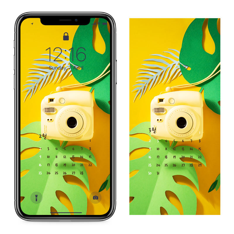 08 즉석 카메라 AB - 2025년2월 아이폰달력배경화면