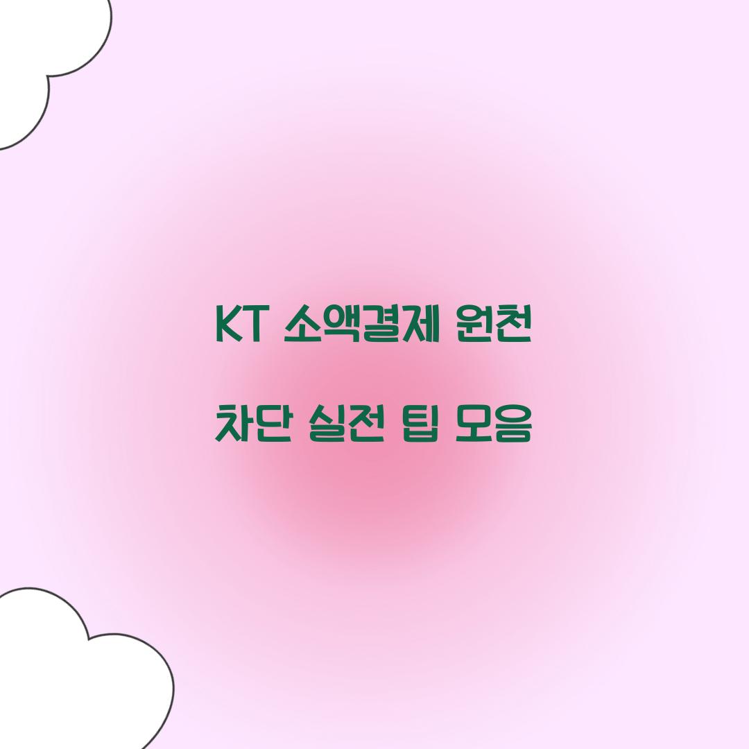 KT 소액결제 원천 차단