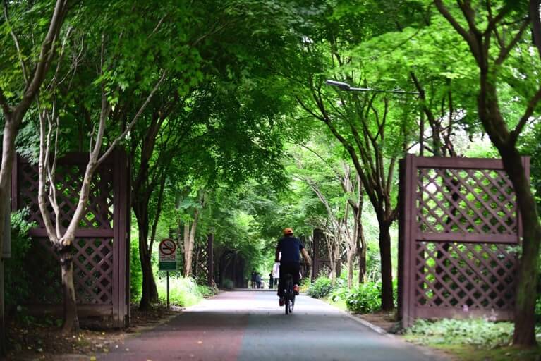 남산공원 초록 숲길