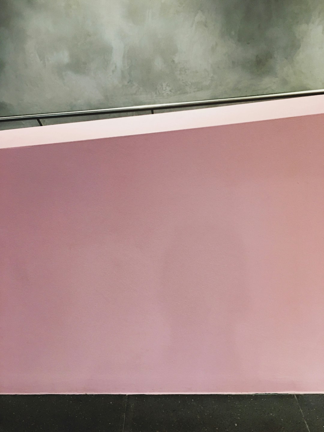 배정남 벨 구제거리 사건 정리 | 배정남 나이·반려견·파리 패션쇼 이슈