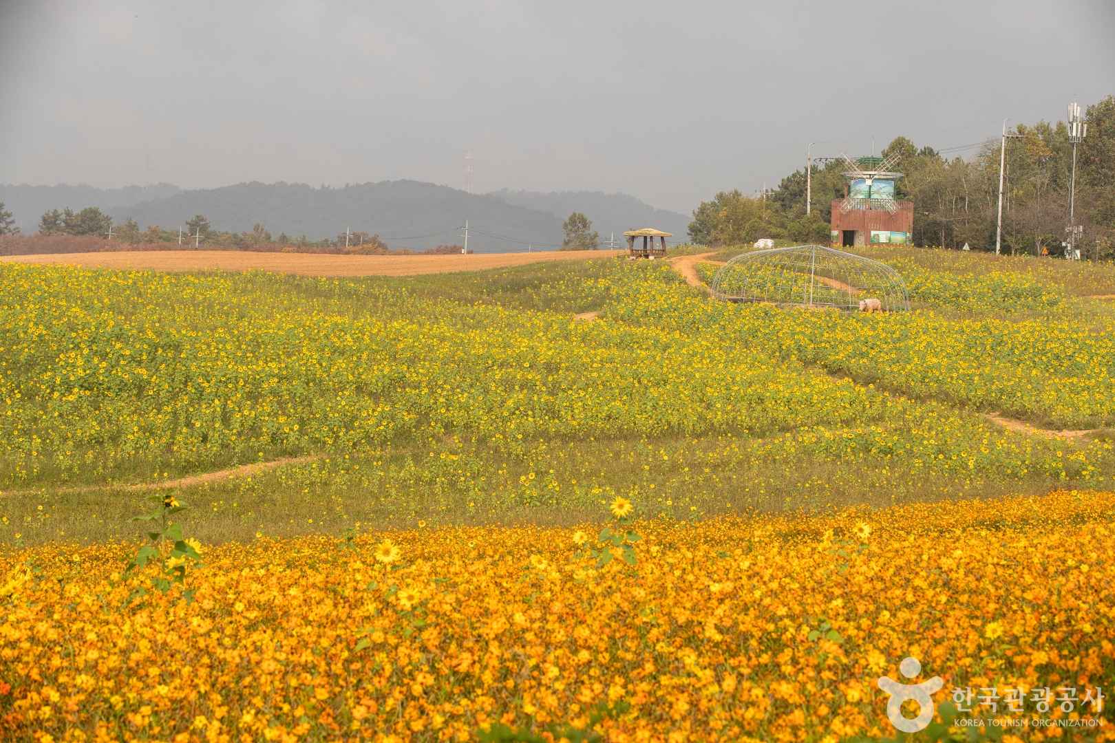 보리나라 학원농장
