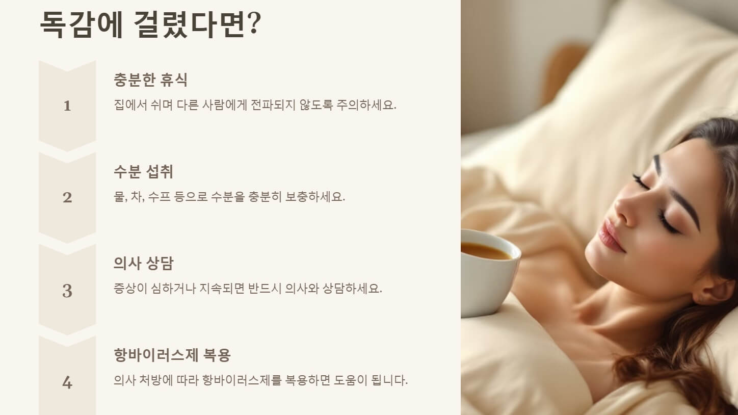 독감 걸리는 이유